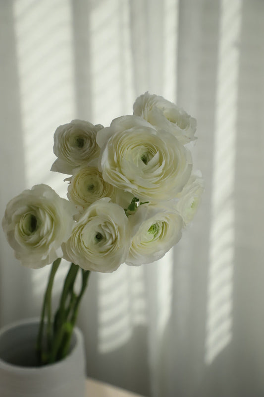 Ranunculus White 8 stems
