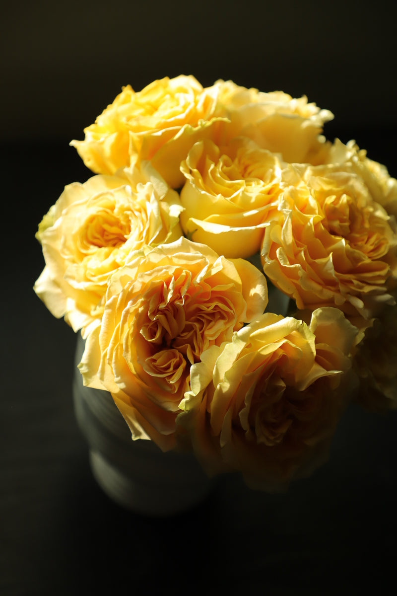 Rose Yellow 10 stems