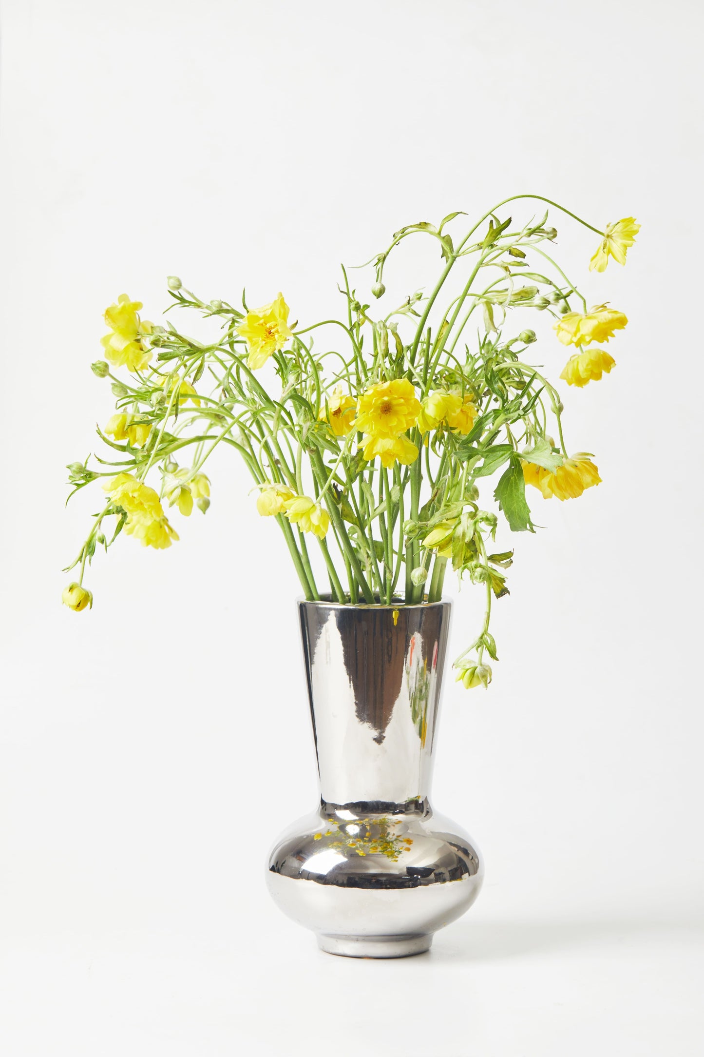 Ranunculus Yellow 8 stems