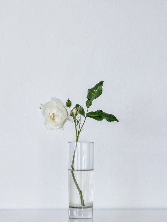 Rose White 10 stems